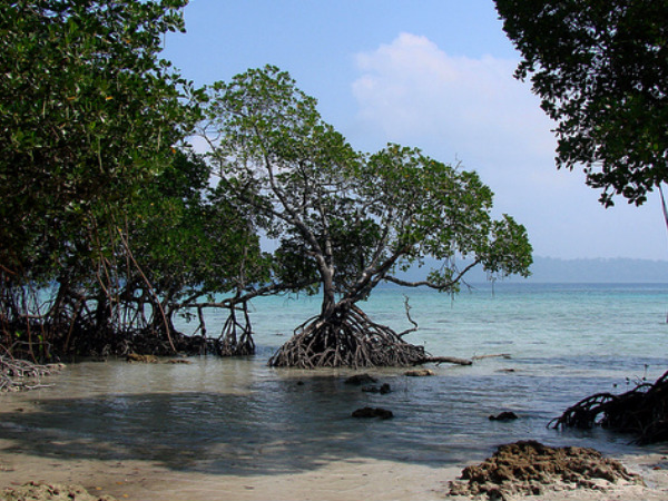 Havelock Island