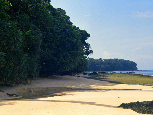 Rutland Island