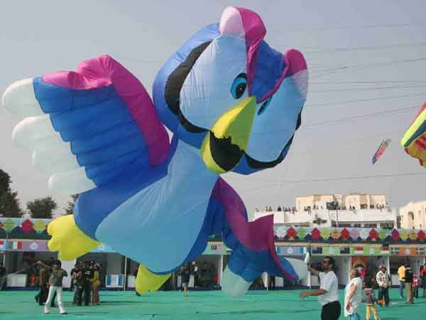 Large Kite Large Kite