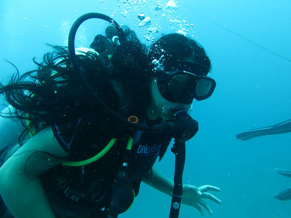 Andaman and Nicobar Islands