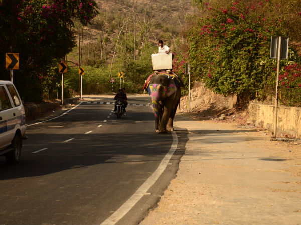 Jaipur