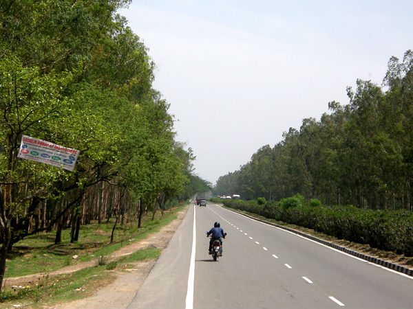 Manali