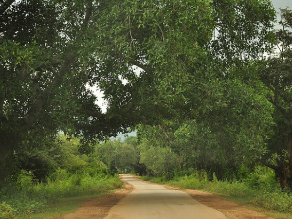 How to Reach Chikmagalur