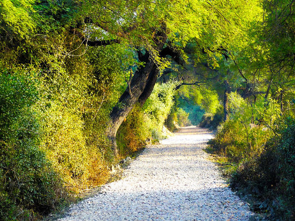 The Keoladeo National Park The Keoladeo National Park