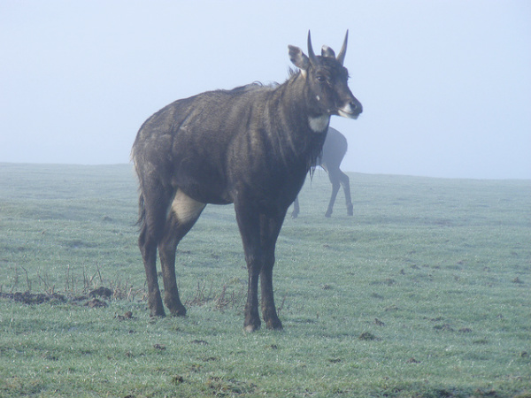 Madhav National Park Madhav National Park