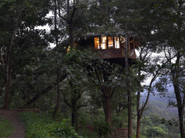 Rain Forest Resort