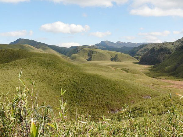 Dzukou Valley