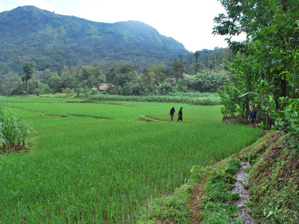 Against the backdrop of hills