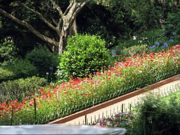 Coonoor