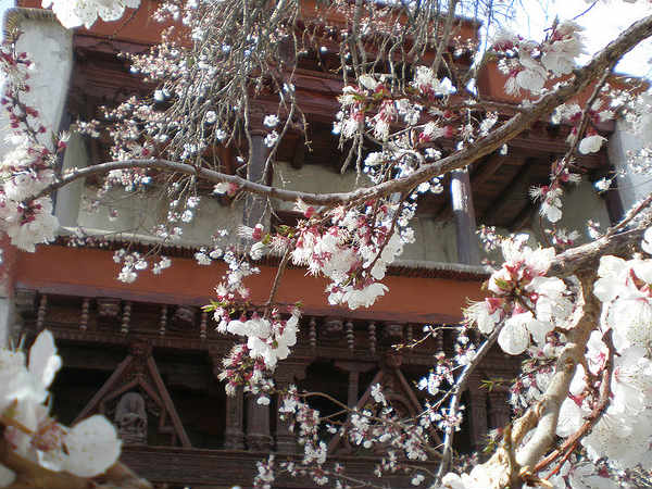 Alchi Monastery