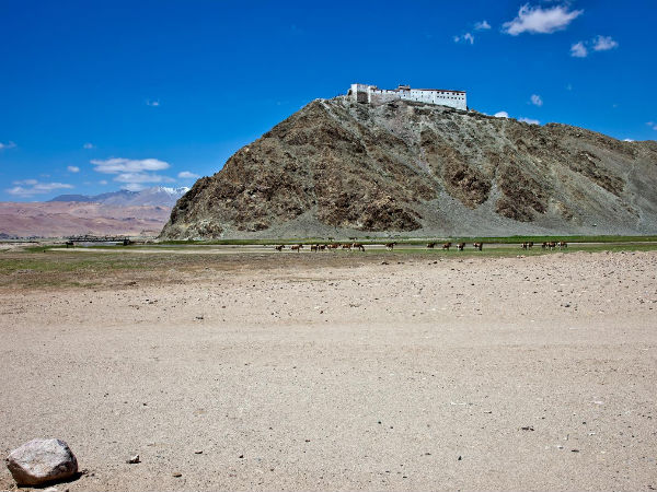 Hanle Gompa
