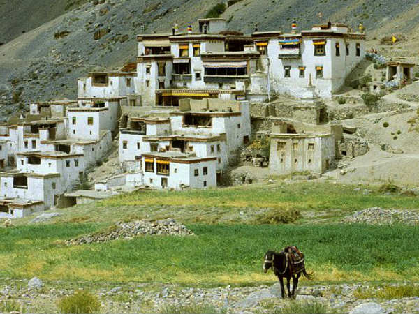 Lingshed Gompa