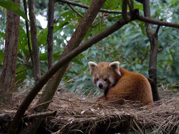 Wildlife and Nature