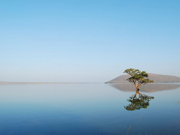 Warangal