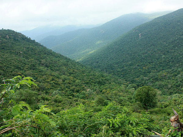 MM Hills