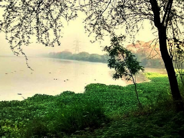 Okhla Bird Sanctuary Okhla Bird Sanctuary