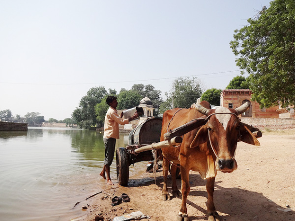 How to Reach Nagaur How to Reach Nagaur