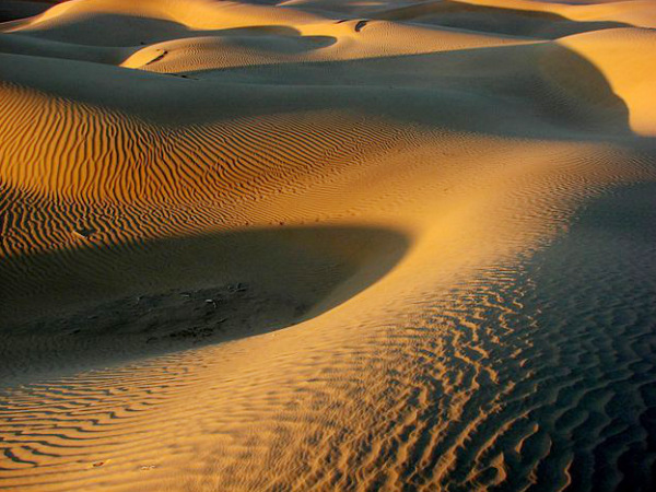 Thar Desert