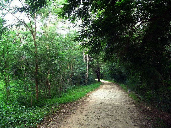 Kukkarahalli Lake