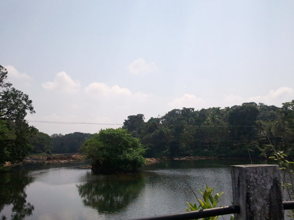 Manimala River