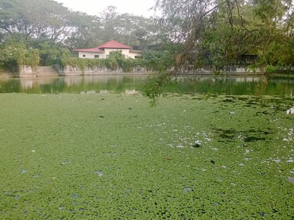 Vanchikulam Lake