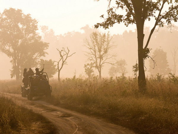 Bandhavgarh National Park