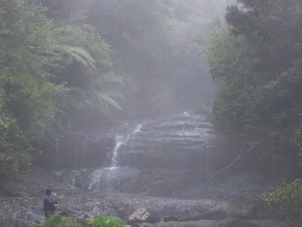 Bear Shola Falls, Kodaikanal