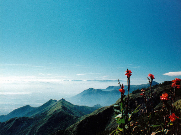 Coakers Walk, Kodaikanal