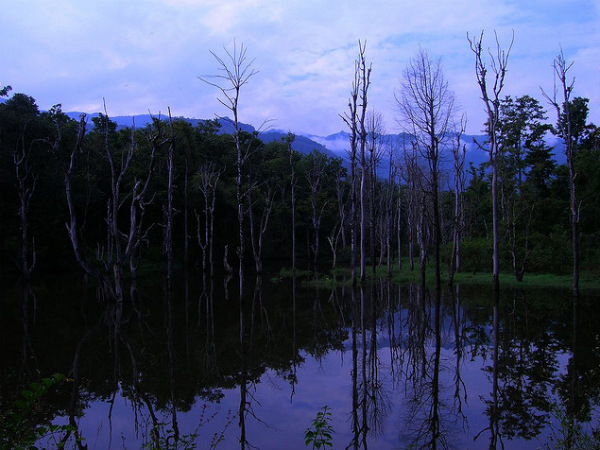 Mudumalai