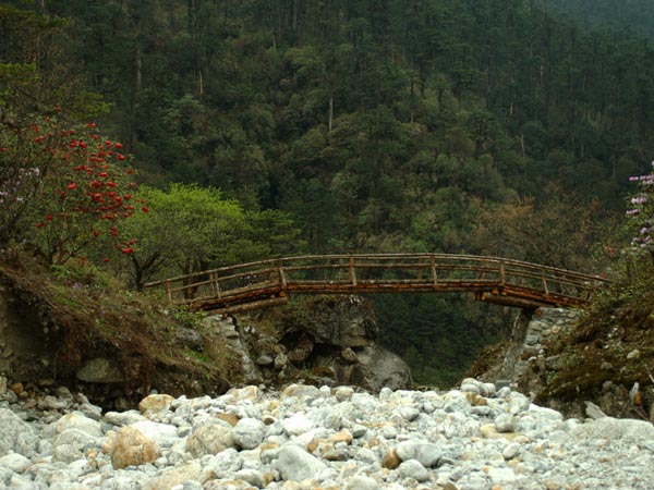 Yumthang Valley, Yumthang