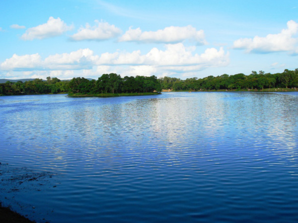 Bat Island, Jayanti Sarovar