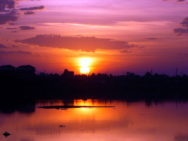 Adyar River