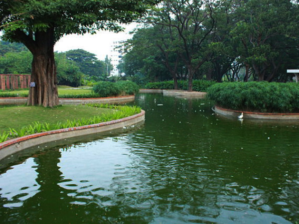 Pond