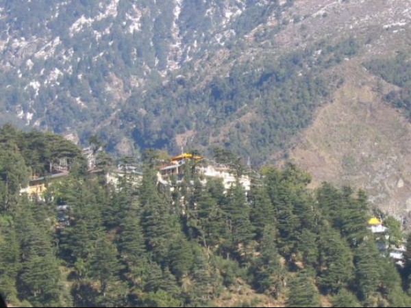 Tibetan Insitute