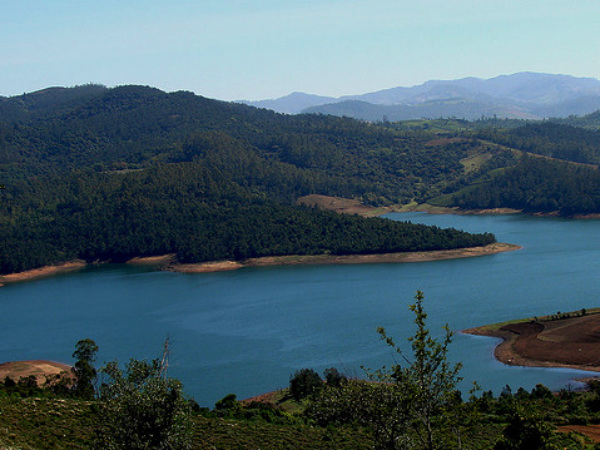 Ooty