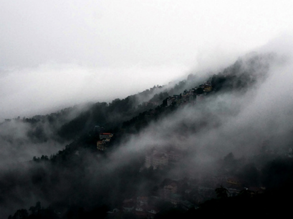Shimla