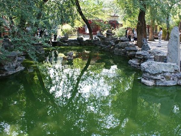 Dhilon Pond