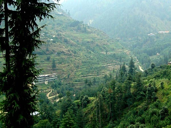 Kiala Forest
