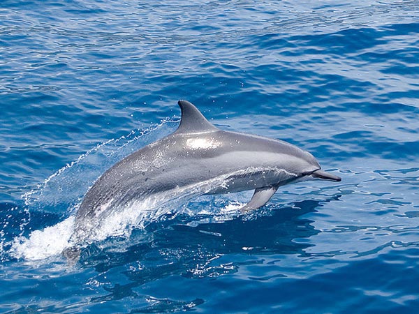 Rani Jhansi Marine National Park