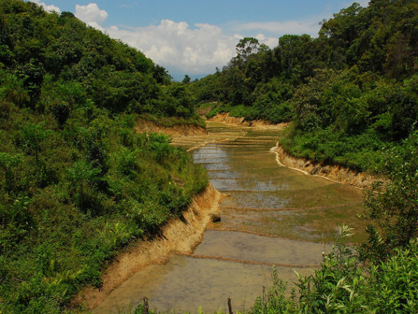 Imphal Valley