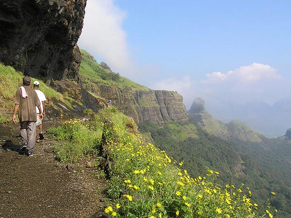 Bhandardara