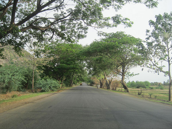 How to Reach Medak