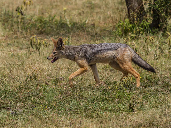 Kanger Ghati National Park