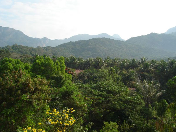 Kovai Kuttralam