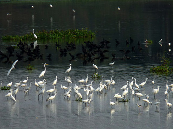 Singanallur Lake