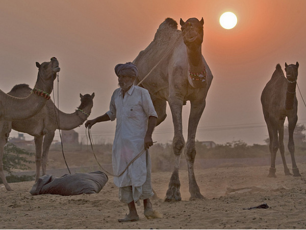Pushkar