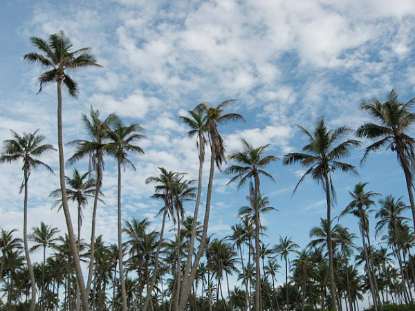 Agatti Island