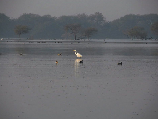 Thol Lake Thol Lake