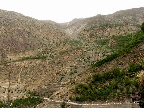 Jhanjeli