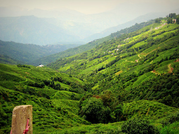 Darjeeling